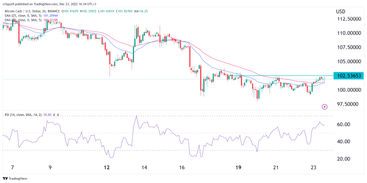 Bitcoin Cash Kurs Prognose Chart Formation Deutet Auf Eine Erholung Hin